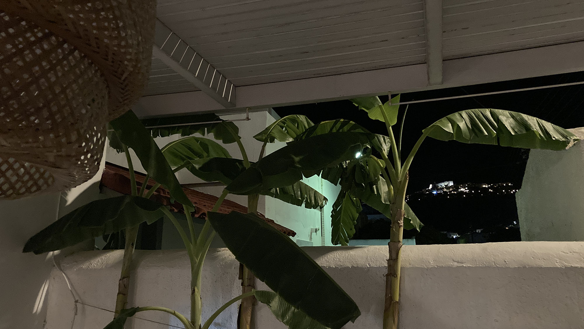 Mostra004