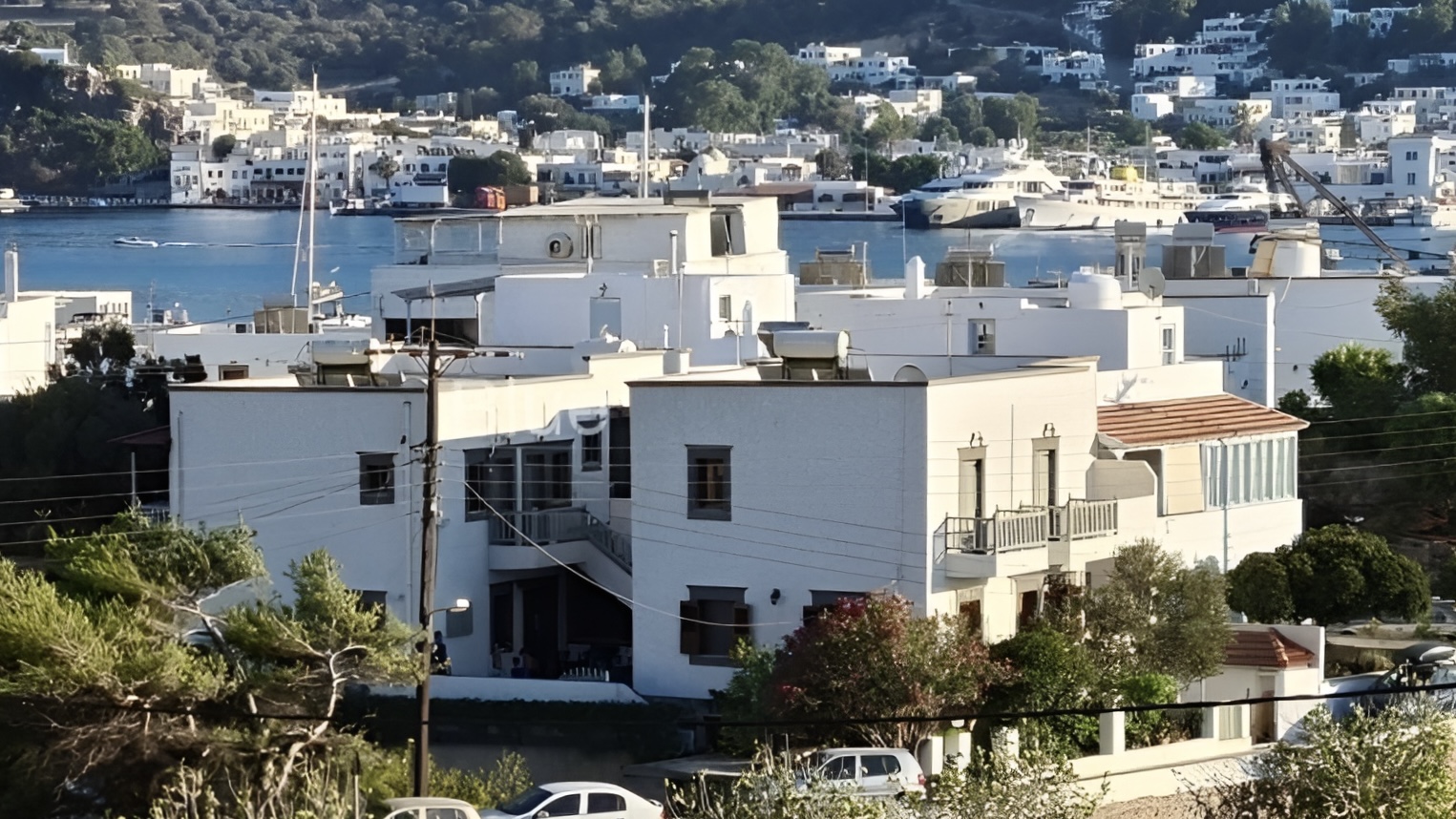 wmremove-transformed copy 2